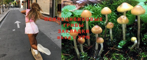 альфа пвп Ижевск