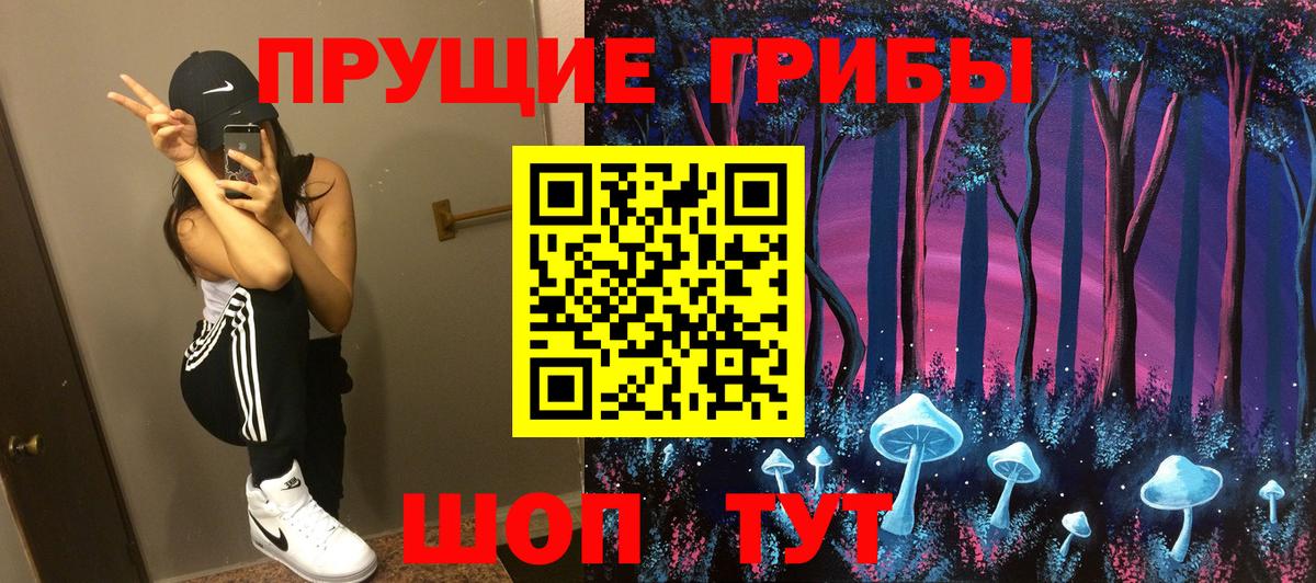 Нижнекамск  Псилоцибиновые грибы Cubensis  купить наркотик  Вход с VPN 
